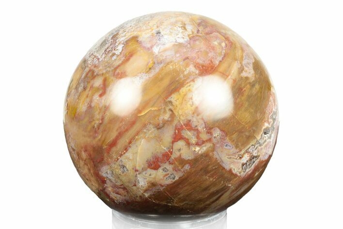 Colorful Petrified Wood (Araucaria) Sphere - Madagascar #245514